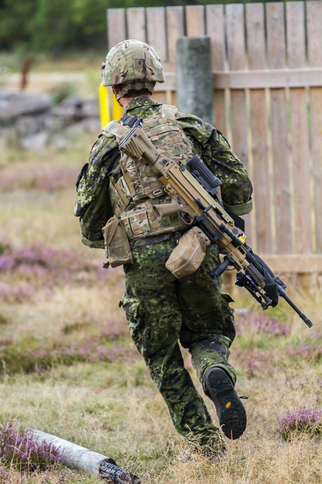 Danish Army (5)