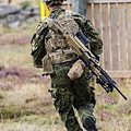 Danish Army (5)