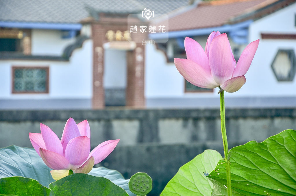 清水趙家.jpg 清水趙家.jpg