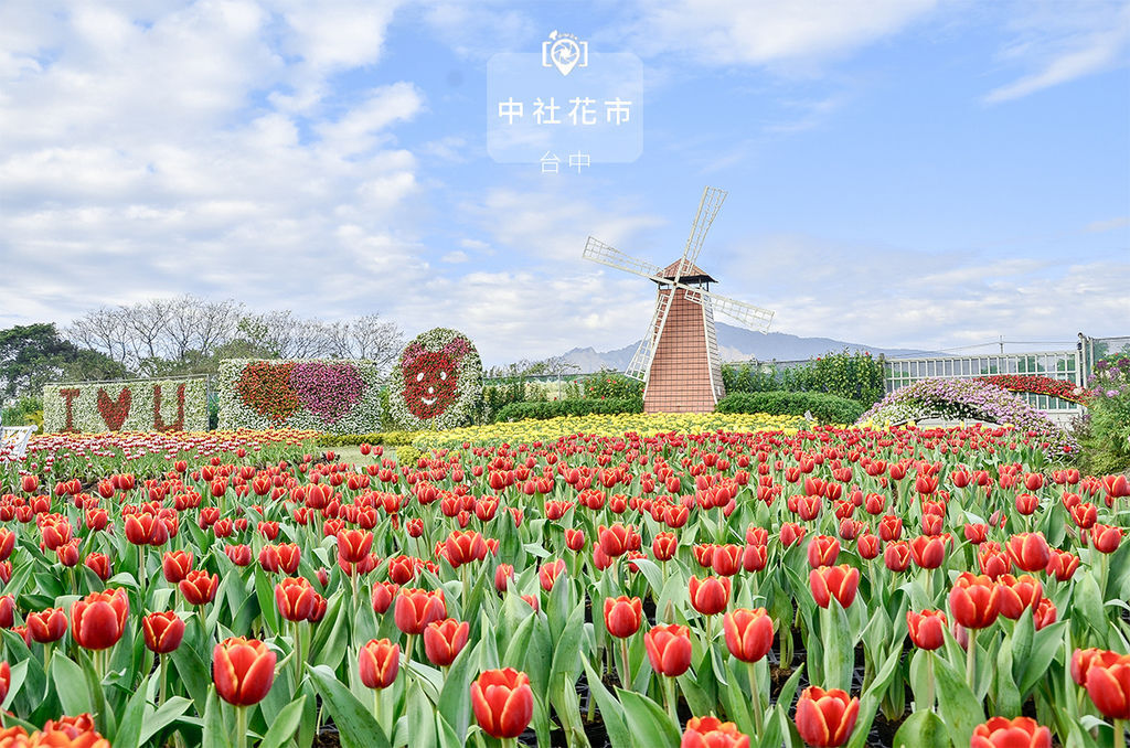 中社花市.jpg 中社花市.jpg