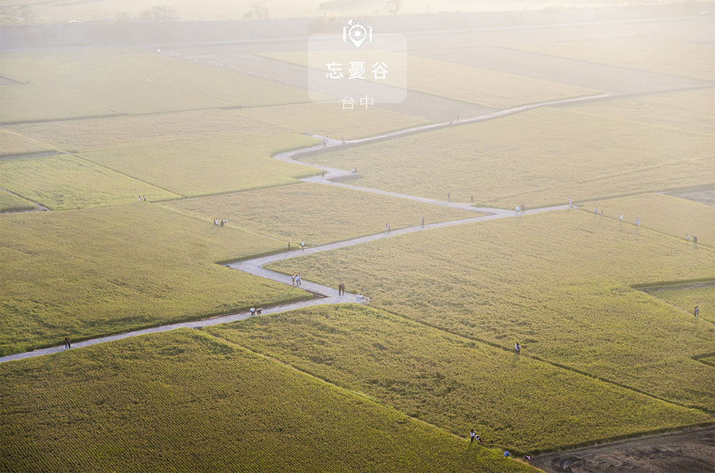忘憂谷.jpg 忘憂谷.jpg