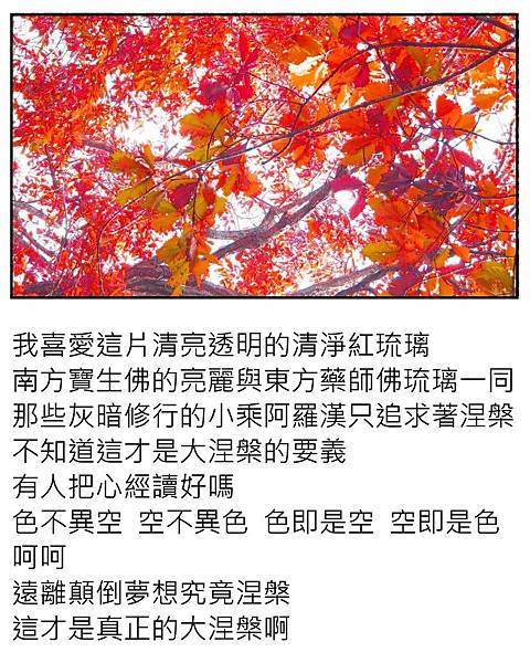 紅色琉璃光.JPG