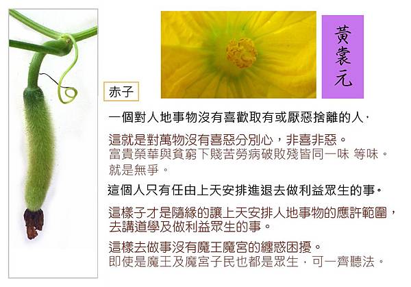 我說這赤子是什麼定義啊!.JPG