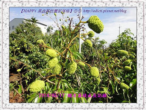 nEO_IMG_DSC07787 nEO_IMG_DSC07787