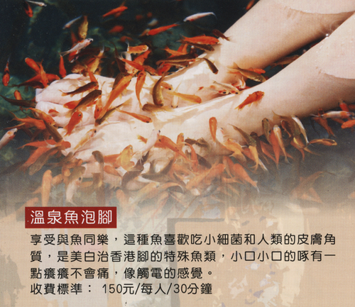 1206243622 1206243622