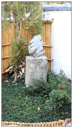 19.jpg 19.jpg
