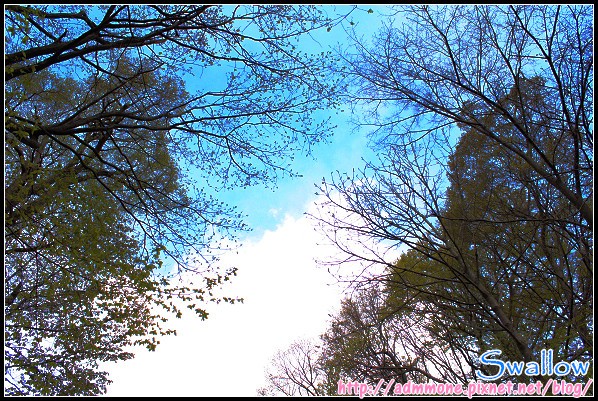 25_北海道神宮_02.jpg 25_北海道神宮_02.jpg