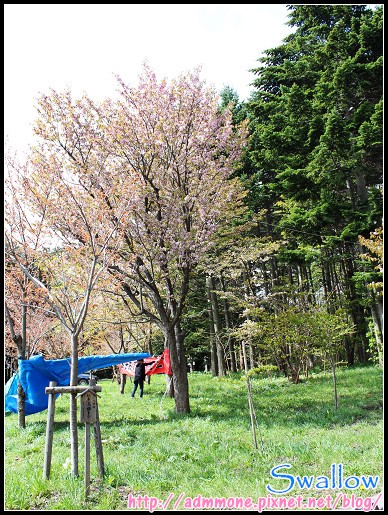 25_北海道神宮_10.jpg 25_北海道神宮_10.jpg