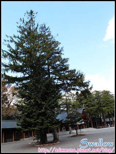 25_北海道神宮_33.jpg 25_北海道神宮_33.jpg