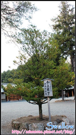 25_北海道神宮_36.jpg 25_北海道神宮_36.jpg