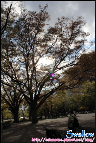 31_札幌大通公園_31.jpg 31_札幌大通公園_31.jpg