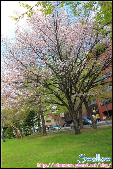 31_札幌大通公園_50.jpg 31_札幌大通公園_50.jpg
