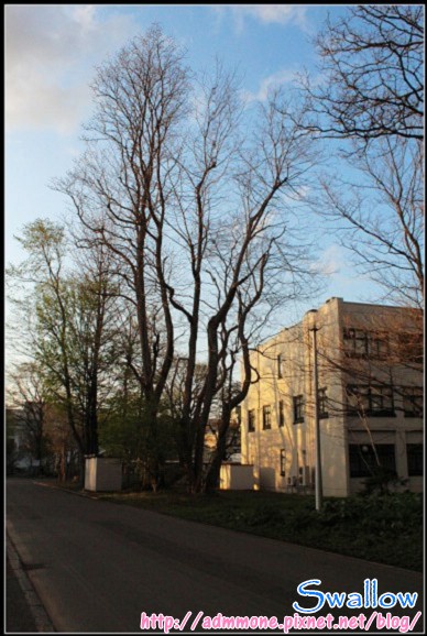 32_北海道大學_09.jpg 32_北海道大學_09.jpg