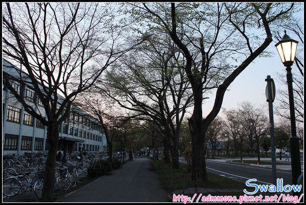 32_北海道大學_19.jpg 32_北海道大學_19.jpg