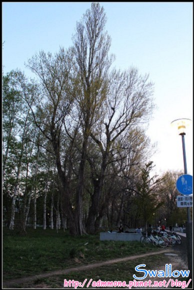 32_北海道大學_23.jpg 32_北海道大學_23.jpg