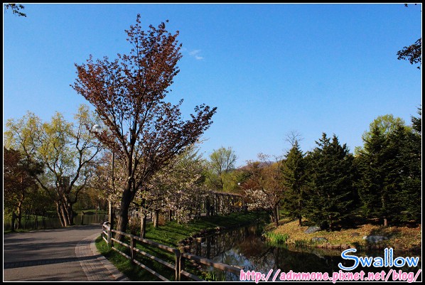 36_22_中島公園.jpg 36_22_中島公園.jpg