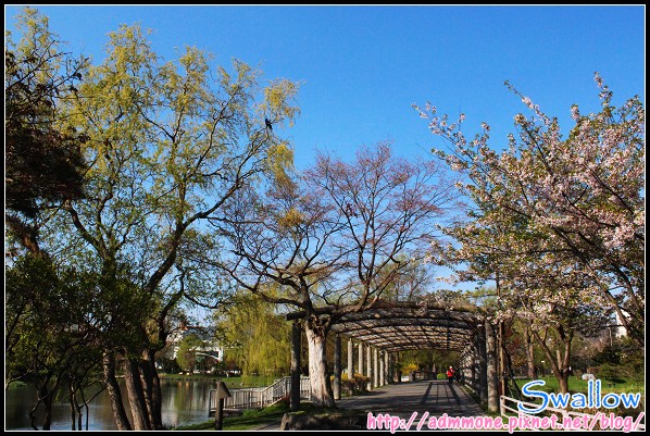 36_24_中島公園.jpg 36_24_中島公園.jpg