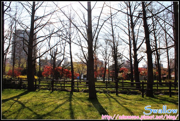 36_36_中島公園.jpg 36_36_中島公園.jpg
