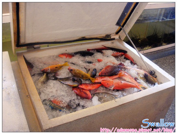 05_阿利海產 海產.jpg 05_阿利海產 海產.jpg