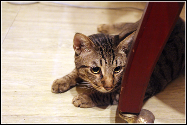 2011兒子們_05.jpg 2011兒子們_05.jpg