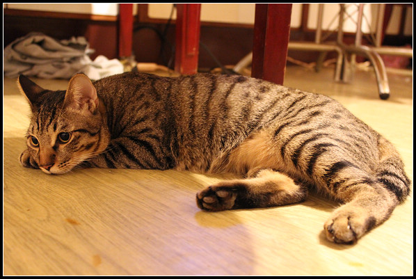 2011兒子們_07.jpg 2011兒子們_07.jpg