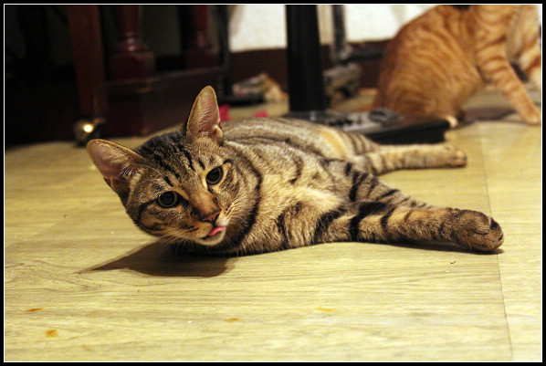 2011兒子們_15.jpg 2011兒子們_15.jpg