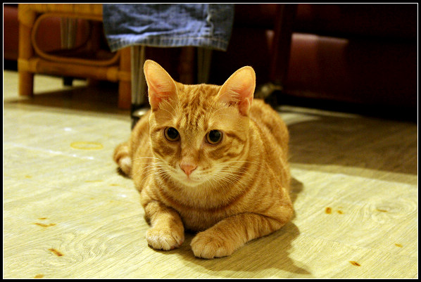 2011兒子們_14.jpg 2011兒子們_14.jpg