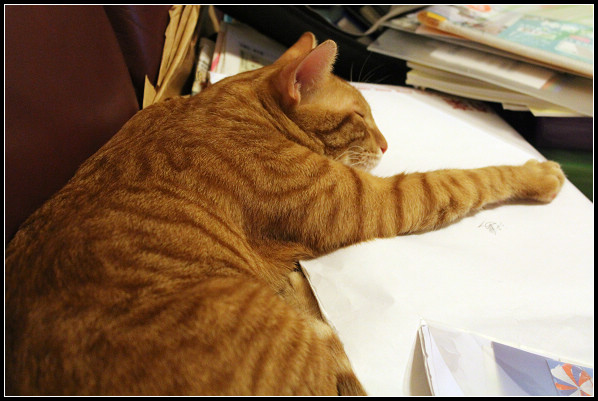 2011兒子們_19.jpg 2011兒子們_19.jpg