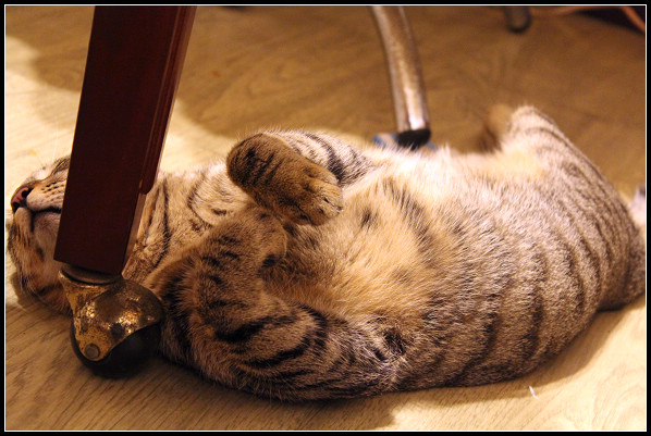 2011兒子們_18.jpg 2011兒子們_18.jpg
