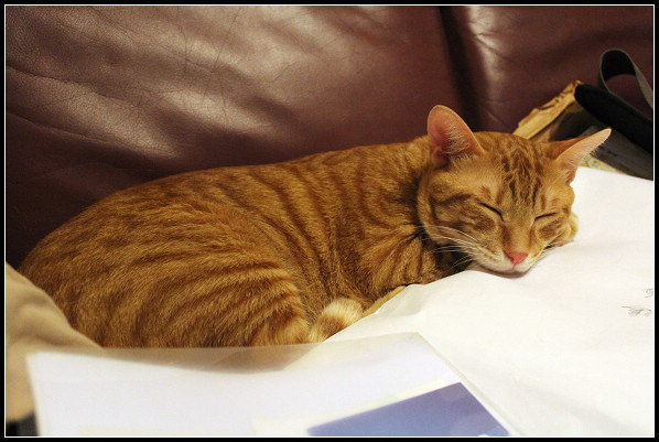 2011兒子們_20.jpg 2011兒子們_20.jpg