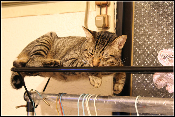 2011兒子們_27.jpg 2011兒子們_27.jpg