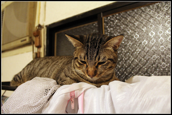 2011兒子們_28.jpg 2011兒子們_28.jpg