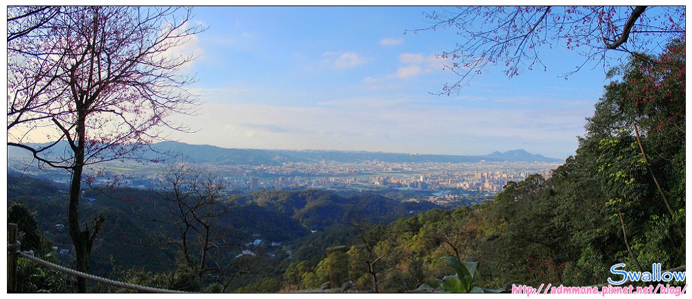 00_土城太極嶺賞櫻賞台北盆地.jpg 00_土城太極嶺賞櫻賞台北盆地.jpg
