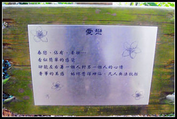 04.jpg 04.jpg