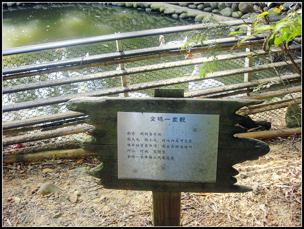 東森山莊4-07.jpg 東森山莊4-07.jpg