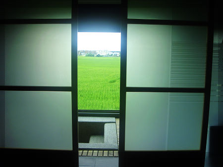 奇立丹20.jpg 奇立丹20.jpg