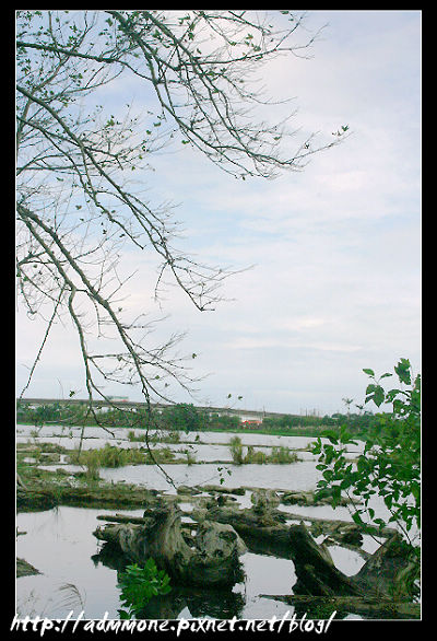 04.jpg 04.jpg