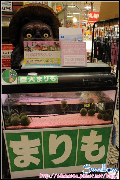 07_狸小路神社_11.jpg 07_狸小路神社_11.jpg