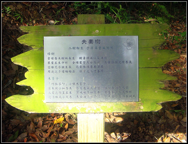 東森山莊4-17.jpg 東森山莊4-17.jpg