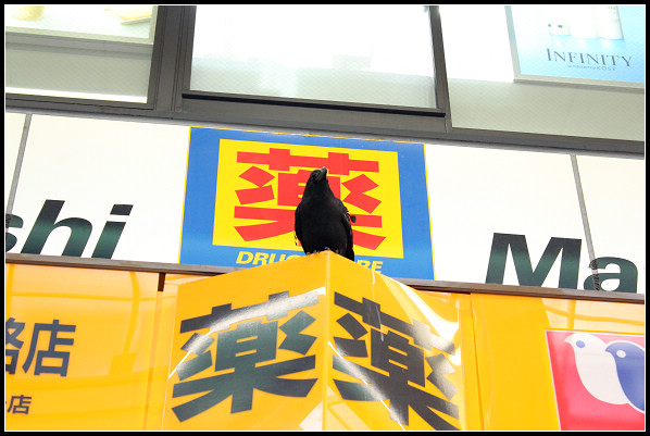 06_狸小路購物_01.jpg 06_狸小路購物_01.jpg