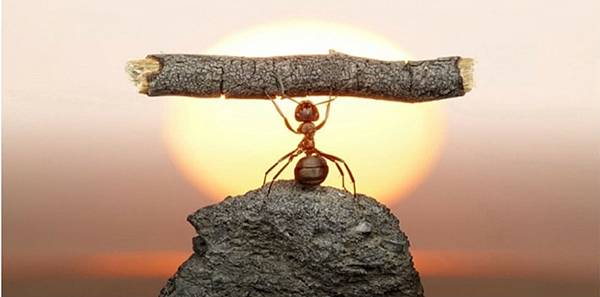 內心強大的人是如何練出來的－林家泰的談判策略學院｜痞客邦