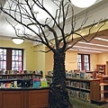 圖書館的樹.jpg