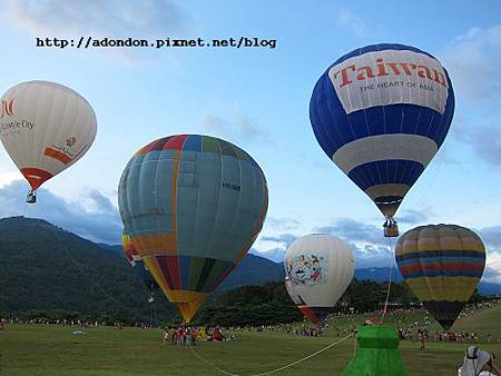 IMG_9955 IMG_9955