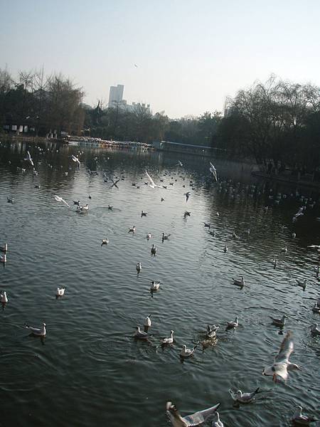 翠湖公園