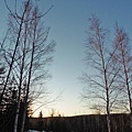 P1020103.JPG