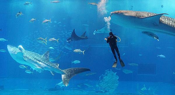 DSC01624.JPG DSC01624.JPG