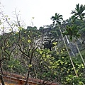 DSC04401.JPG