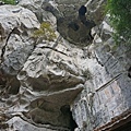 DSC04421.JPG