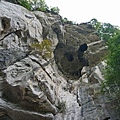 DSC04427.JPG