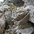 DSC04434.JPG